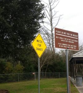 welcome to texas kim