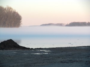 river fog 4