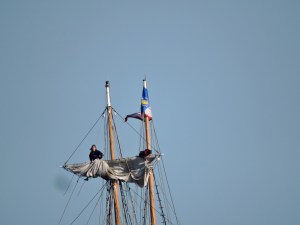 Donna- in the crow's nest