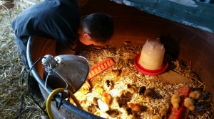 PART_1462992945011_20160511_101456