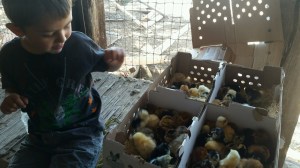 PART_1462992984008_20160511_095157