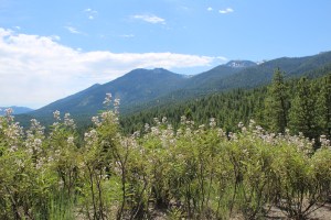 View 2 from Cross Walk