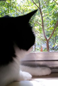 20160619_170720-1 (2)